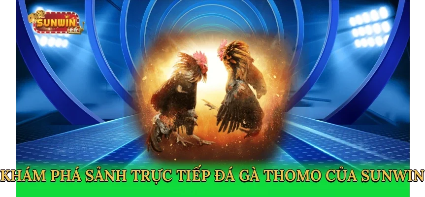 kham-pha-sanh-truc-tiep-da-ga-thomo-cua-sunwin-2