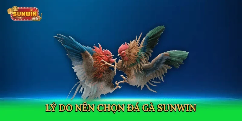 ly-do-nen-chon-da-ga-sunwin-3