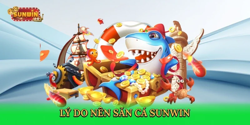 ly-do-nen-san-ca-sunwin-3