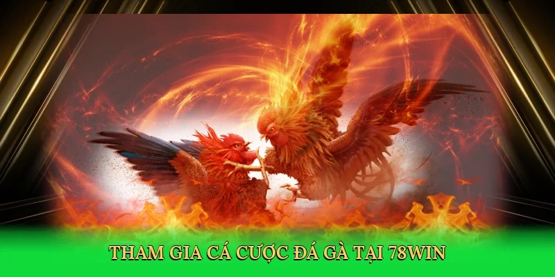 Tham gia cá cược đá gà tại 78Win
