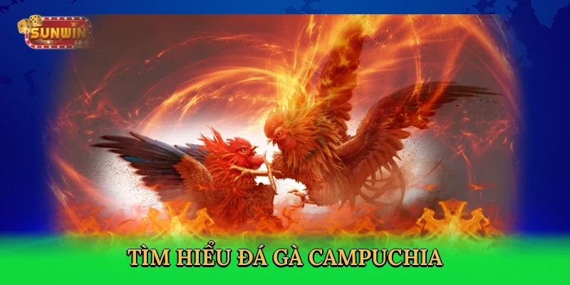 tim-hieu-da-ga-campuchia-2