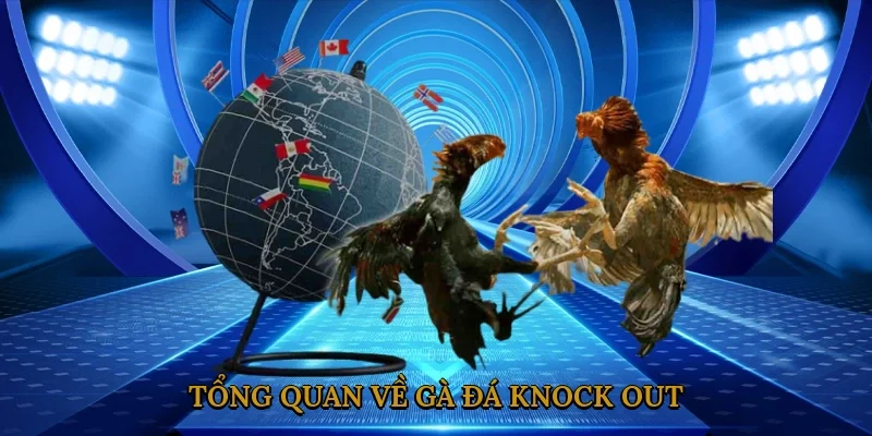 tong-quan-ve-ga-da-knock-out-2