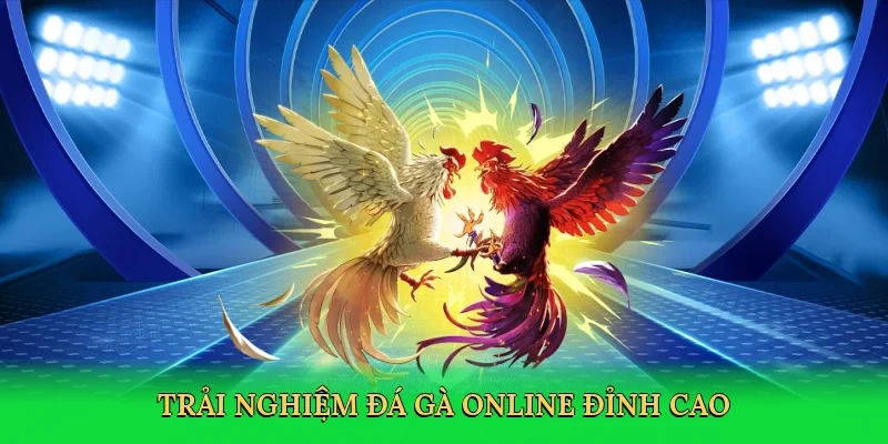 Trải nghiệm Đá gà online đỉnh cao