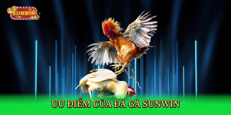 uu-diem-cua-da-ga-sunwin-4
